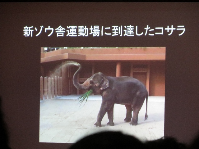 ２０１４年３月　動物園大学in横浜　ず~じゃん　その１_a0052986_2243540.jpg