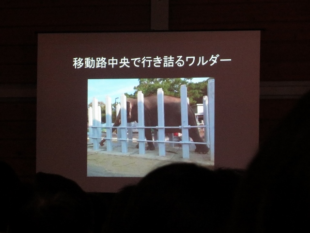 ２０１４年３月　動物園大学in横浜　ず~じゃん　その１_a0052986_22501278.jpg