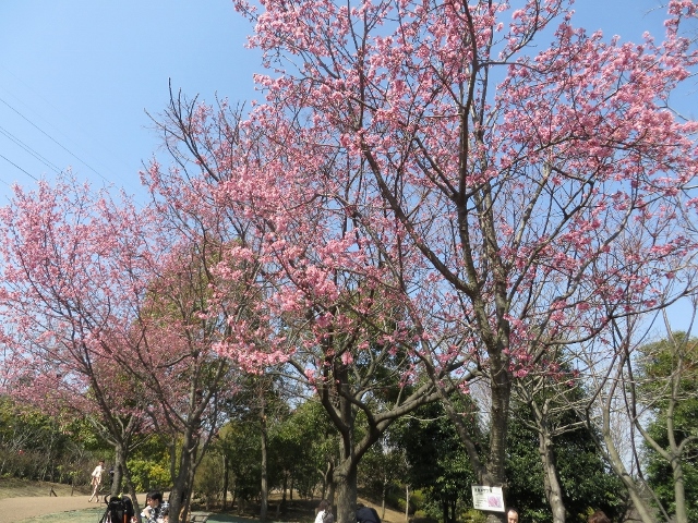 ２０１４年３月　動物園大学in横浜　ず~じゃん　その１_a0052986_734149.jpg