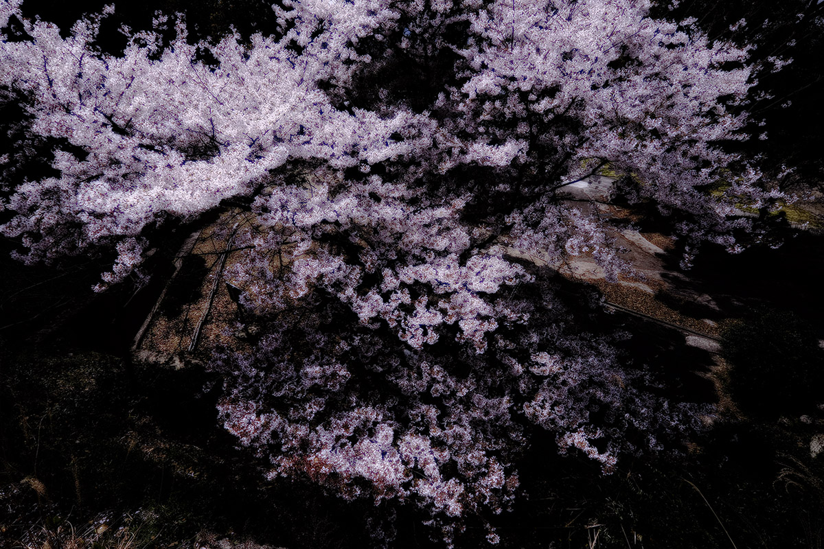 a0141586_19224171.jpg