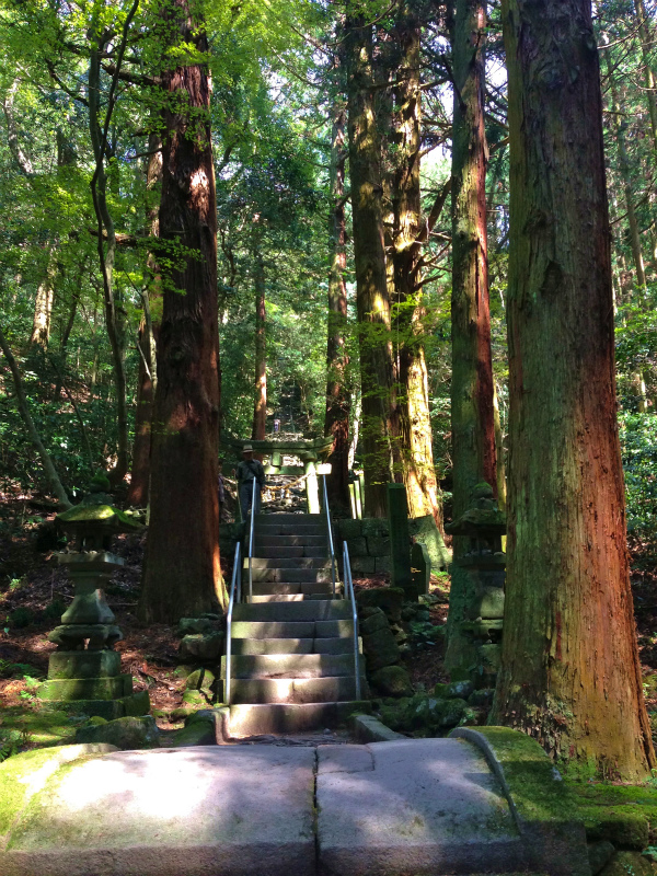 大分県 国東半島 田原山 Mountain Running 2014/04/02-04 Day.1_b0220886_234144.jpg