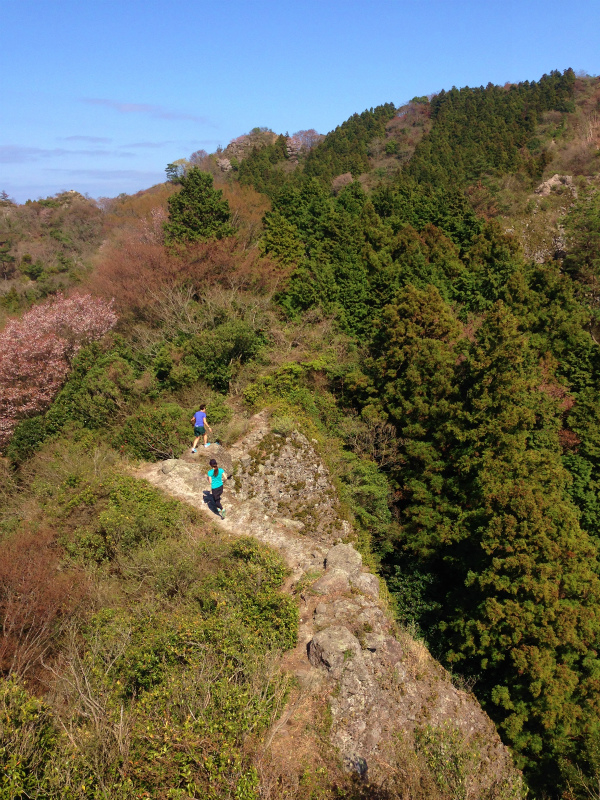 大分県 国東半島 田原山 Mountain Running 2014/04/02-04 Day.1_b0220886_23494916.jpg