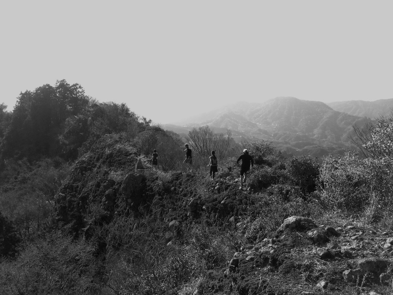 大分県 国東半島 田原山 Mountain Running 2014/04/02-04 Day.1_b0220886_23513634.jpg