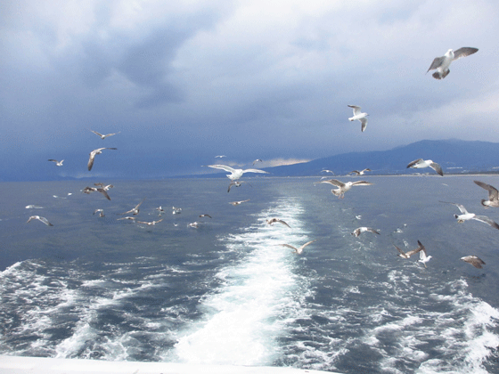 f0110488_19551785.gif