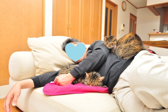 幸せな昼寝 Happy sleep._a0126590_22432013.jpg