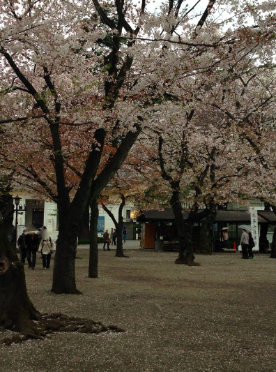 皇居乾通り🌸　〜その４・北の丸公園&靖国神社〜_a0146493_23351296.png