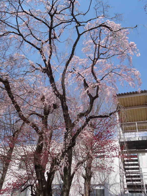 f0075595_2323130.jpg