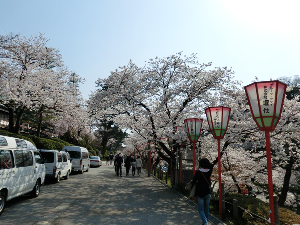 兼六園、金沢城でお花見：2014_e0131399_2335533.jpg