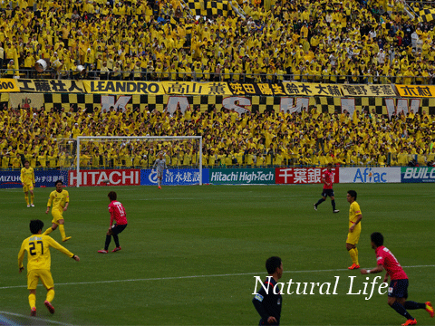 b0162000_15475373.gif