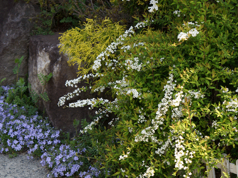 b0162000_15553542.gif