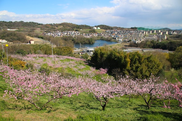 c0306400_0484057.jpg