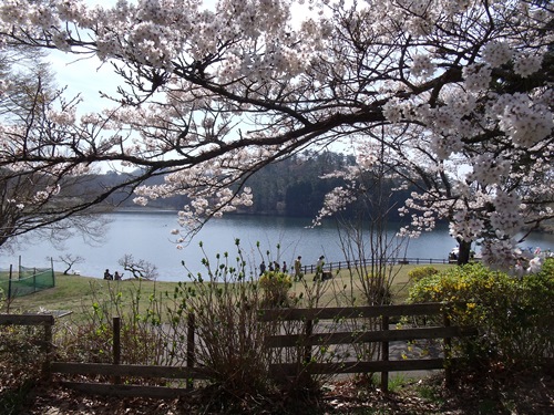 c0017802_22244150.jpg