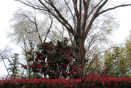 c0128303_858431.jpg