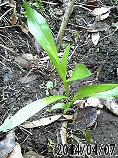 e0270403_23092350.jpg