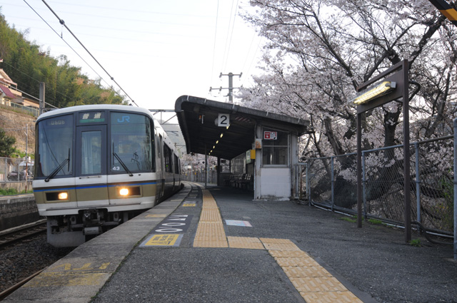 ■大阪 柏原 河内堅上駅：桜（2014.04.01）その１_d0137504_5475769.jpg