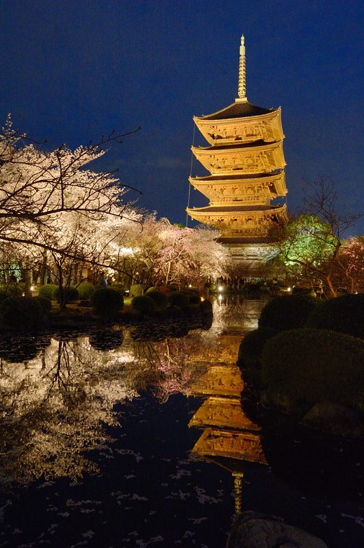 東寺 夜桜ライトアップ 其の二 デジタルな鍛冶屋の写真歩記