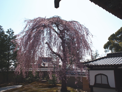 e0211912_961151.jpg