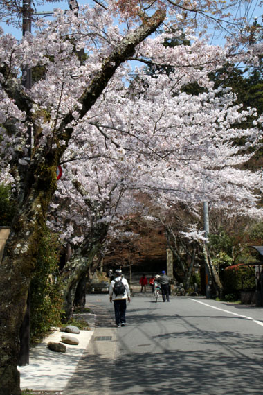 e0048413_17413.jpg