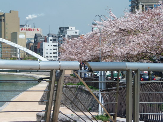 「定休日」ですけど。_a0125419_21143899.jpg