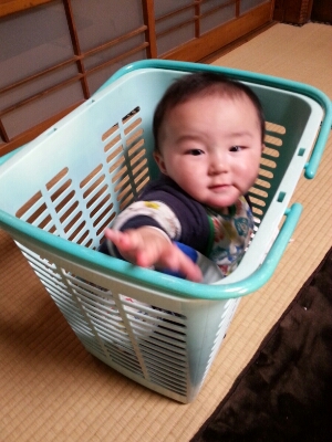 カラー出荷開始!_a0256619_19575475.jpg