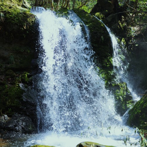 b0309623_11002542.jpg