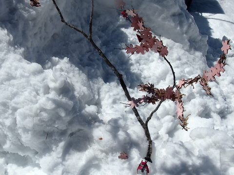 c0225927_1745016.jpg