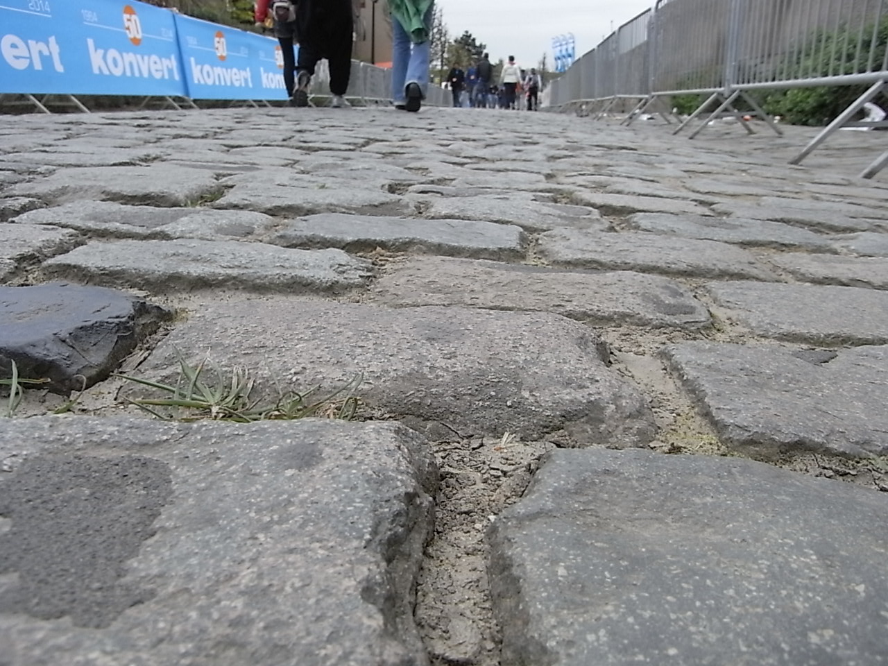 e0053327_720366.jpg