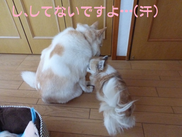 b0138430_10564321.jpg