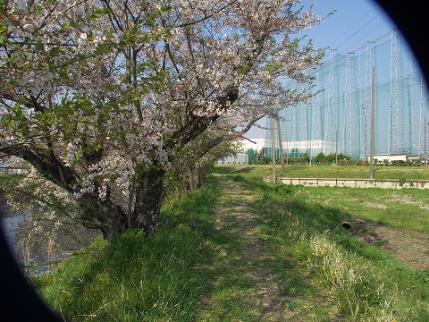 c0077531_23471865.jpg