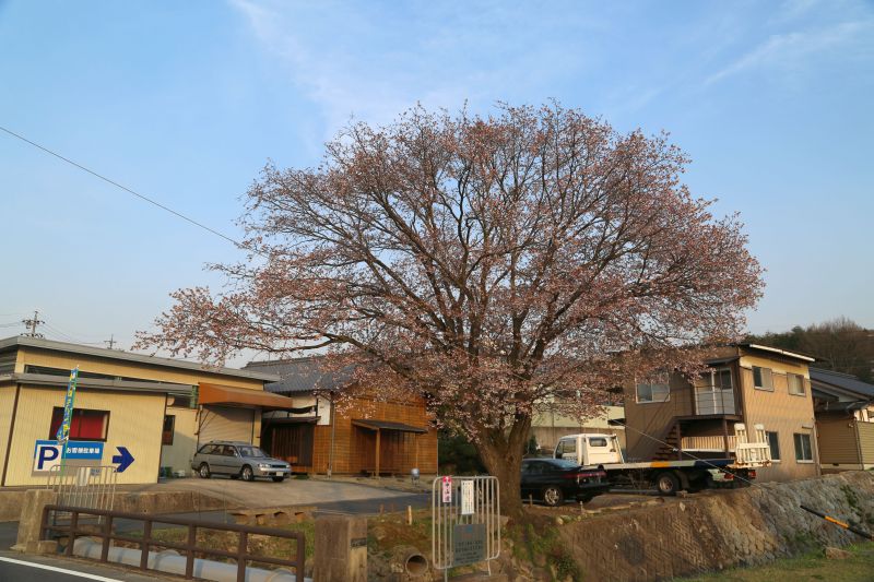 フォレスターX-BREAKと殿様の蕎麦_f0076731_20400005.jpg