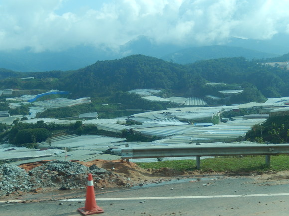 b0137932_13145440.jpg