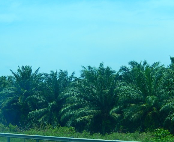 b0137932_13311038.jpg