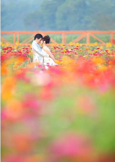 お花畑のウェディングフォト 緑の草原 大自然の結婚前撮り写真 静岡 東京 神奈川 Petite Rose