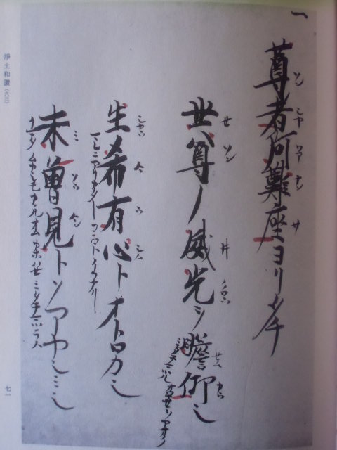 妙音院了祥述「正信念佛偈聞書」の研究 善導篇 ＜正信偈