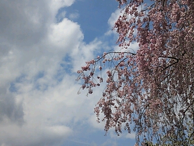 b0306737_17372890.jpg