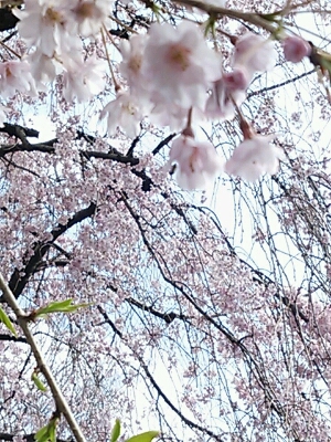 b0306737_180428.jpg
