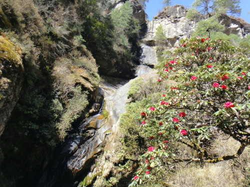 c0179351_21134949.jpg