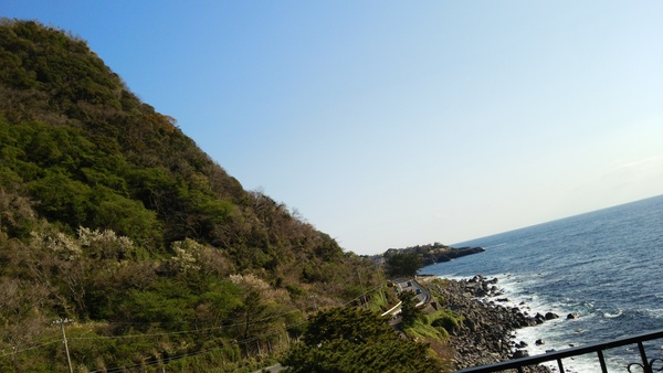 ①伊豆城ヶ崎海岸つり橋_b0292155_11461618.jpg