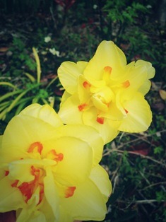 f0201156_2161268.jpg