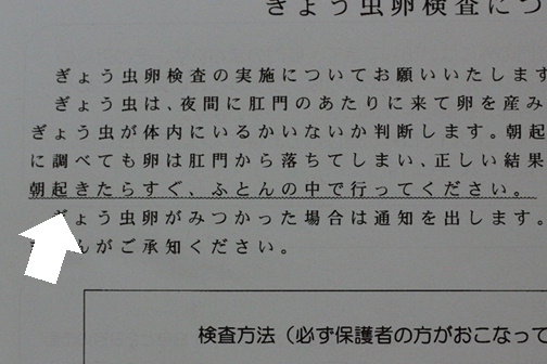 ぎょう虫検査 Sakamichi