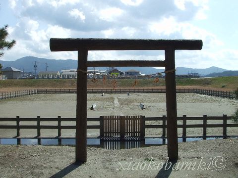 伊勢神宮御料地　神宮御園と御塩浜_d0064266_4481413.jpg