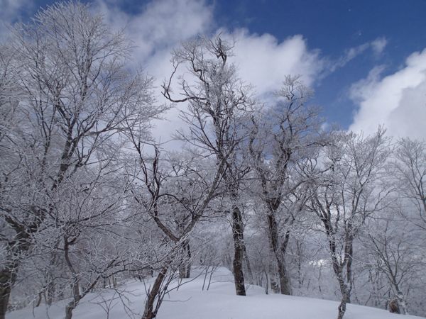 c0321967_20124692.jpg