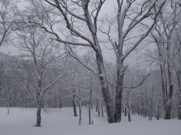 c0321967_20124722.jpg