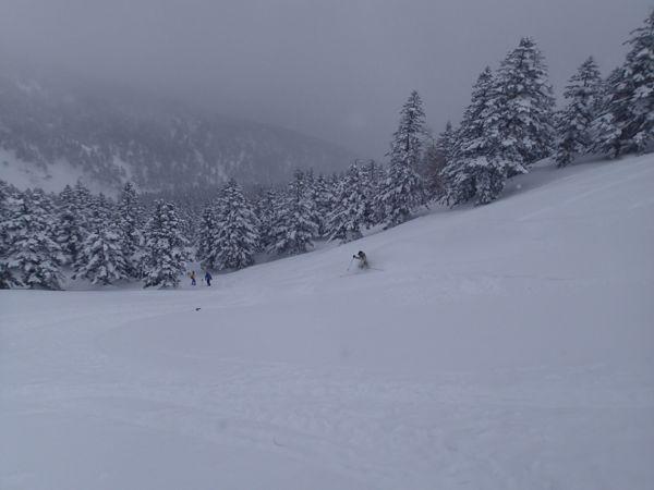 c0321967_20125536.jpg