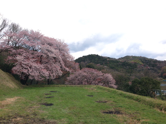 里山の花見散歩_b0299869_1533135.jpg