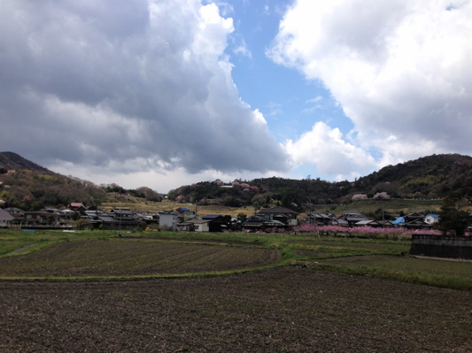 里山の花見散歩_b0299869_1536231.jpg