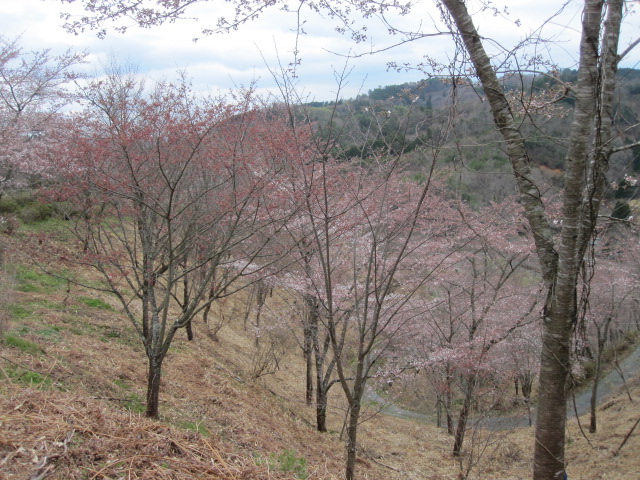 f0085369_98197.jpg