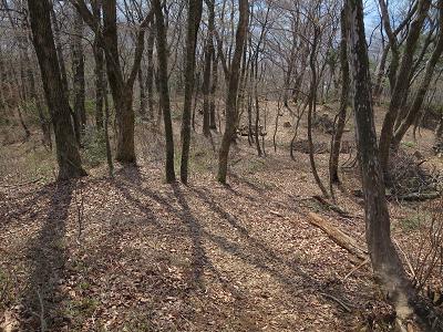 小谷山・虎御前山　　城跡と古墳の歴史散策_f0302771_18484857.jpg