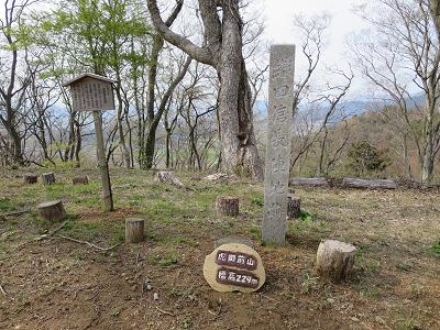 小谷山・虎御前山　　城跡と古墳の歴史散策_f0302771_1850227.jpg