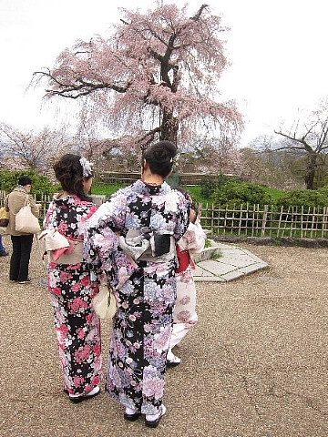 春は、桜ファッションがいとをかし。_b0141773_23504288.jpg